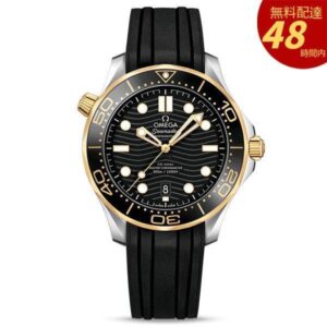 シーマスター 210.22.42.20.01.001-42MM