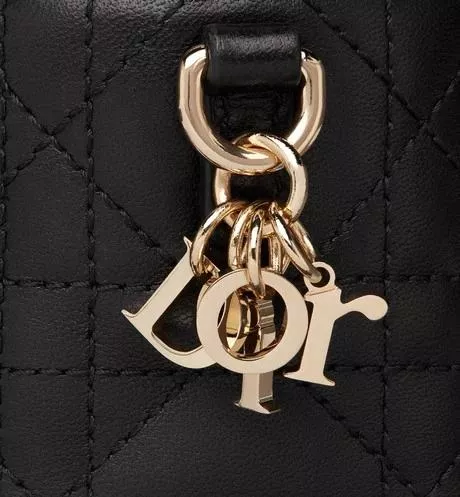 LADY DIOR マイクロ ヴァニティ - 图片 4