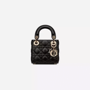 LADY DIOR マイクロバッグ