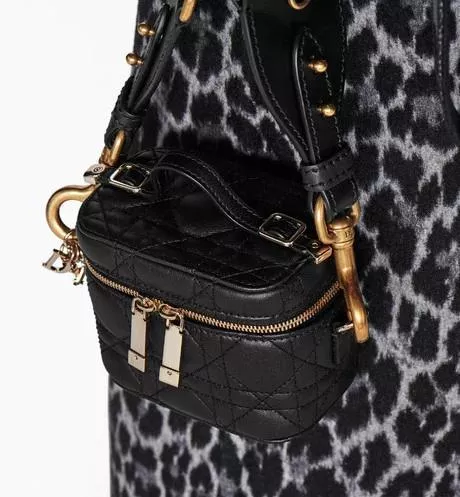 LADY DIOR マイクロ ヴァニティ - 图片 7